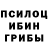 Псилоцибиновые грибы мухоморы Morad Dagestani