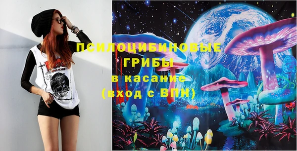 a pvp Саяногорск