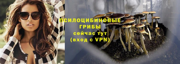 спиды Сатка