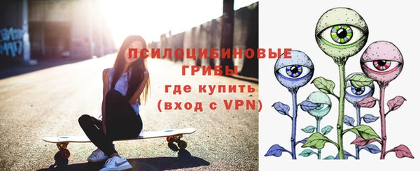 a pvp Саяногорск